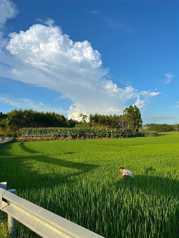 “ 乡村的田野风景平淡治愈且耐看 ”🏞️ 