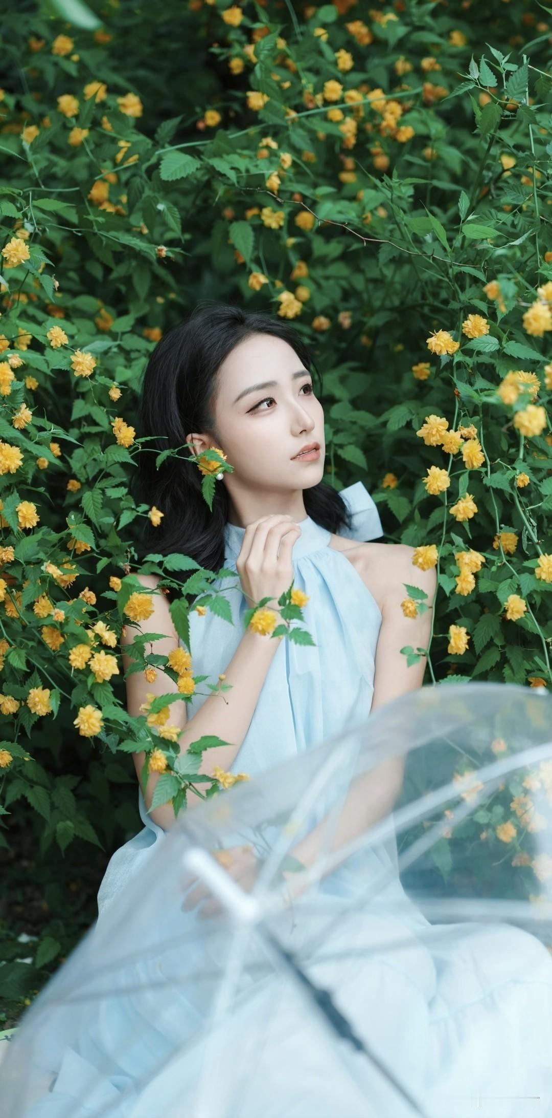 在花海中漫步，感受自然的美好与宁静。