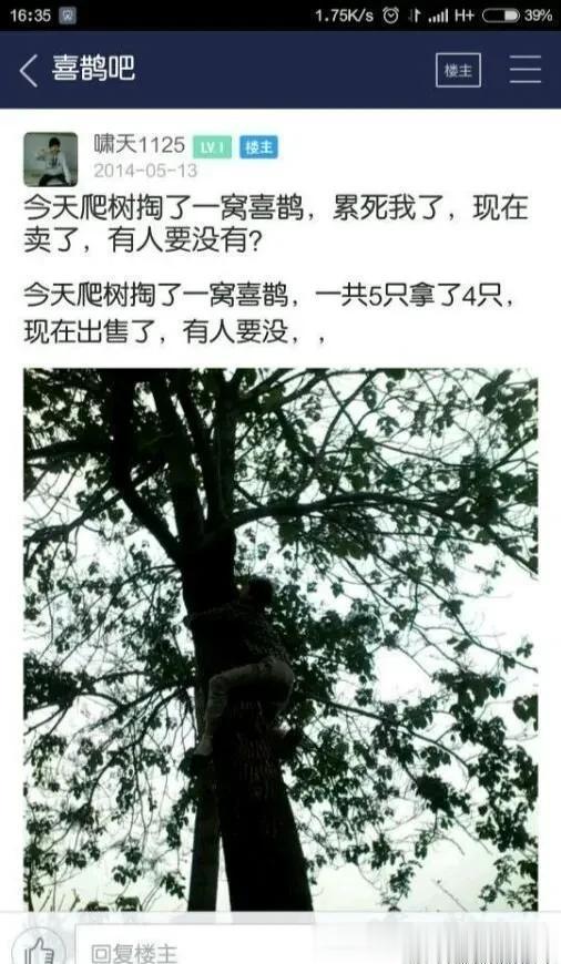 

媒体不愿意让你们看见的真实的他。 ​​​
什么掏鸟窝判十年……，好好看看这人