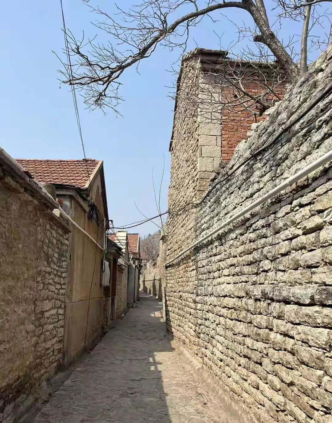 在关系里，有些声音永远无法被听见，无论是亲密关系，还是亲子关系。有的话...