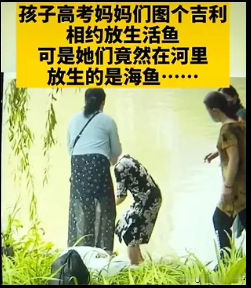 放生，博学多才的本大仙遍览群书，未曾从任何佛教典籍见到过（邪教典籍除外）这个说法