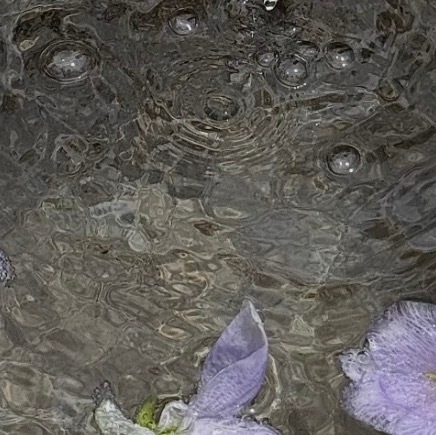 尊重每一个生命，是善良最美的起点。一句鼓励的话，或许能成为别人前进的动力。 