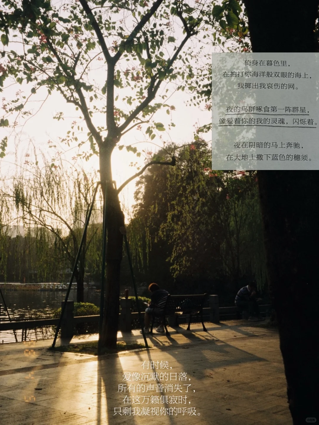 关于爱里的想象，由一切事物构成。