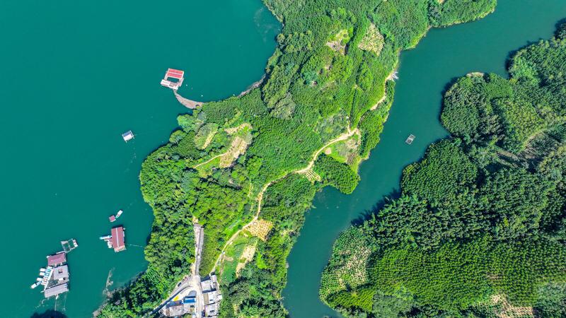 馨漪婉风的这首《七绝•山水相依》实在是绝妙至极！“水漾涟漪过拱桥，一痕柳韵万花娇