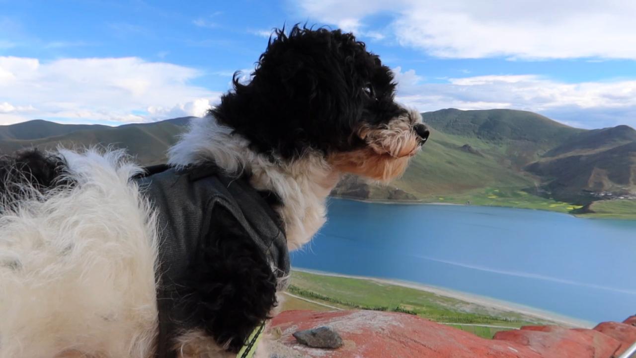 新开个内容杨旭游记图文版 ，把过往深刻的片段用文字和图片记录下来。

拍摄于西藏