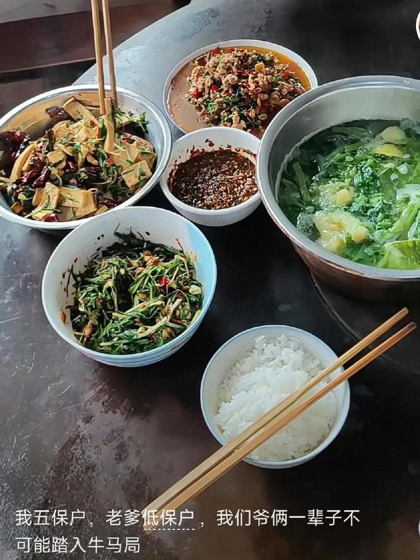 五保户居然成为网友们羡慕的对象了，一日三餐不愁，反正躺平生活，够吃饱肚子就行。