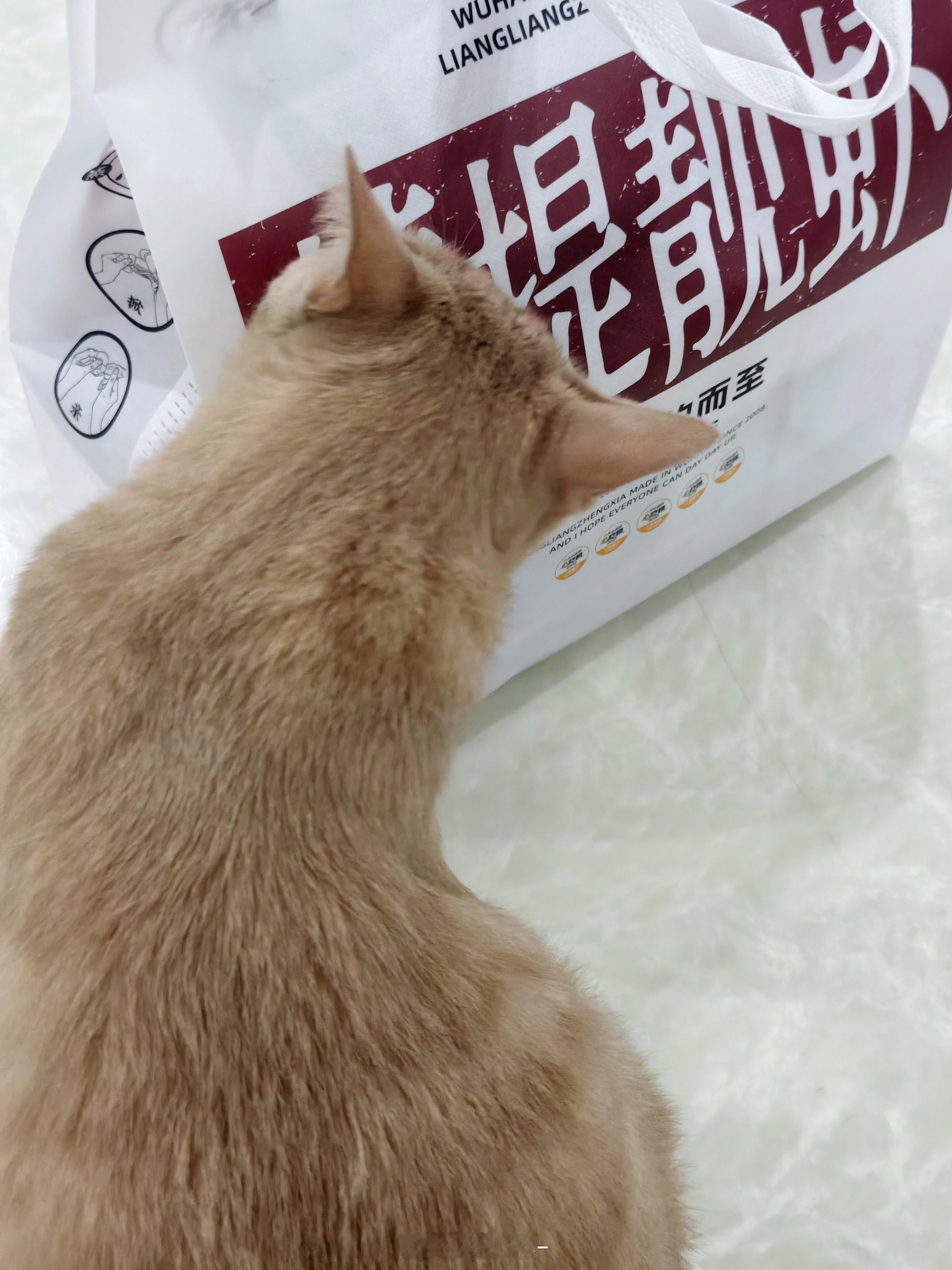 今天小龙虾自由[喵喵]买了四斤的蒸虾和蒜香的各一半大家不用羡慕哈今天小卷长胖了吗