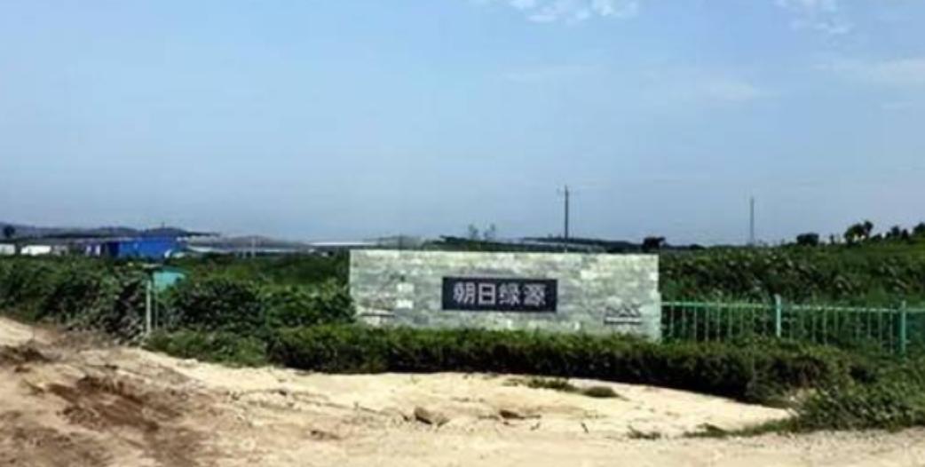 2006年，日本人向中国投资了15亿，在山东租下了1500亩地，居然什么都不种，