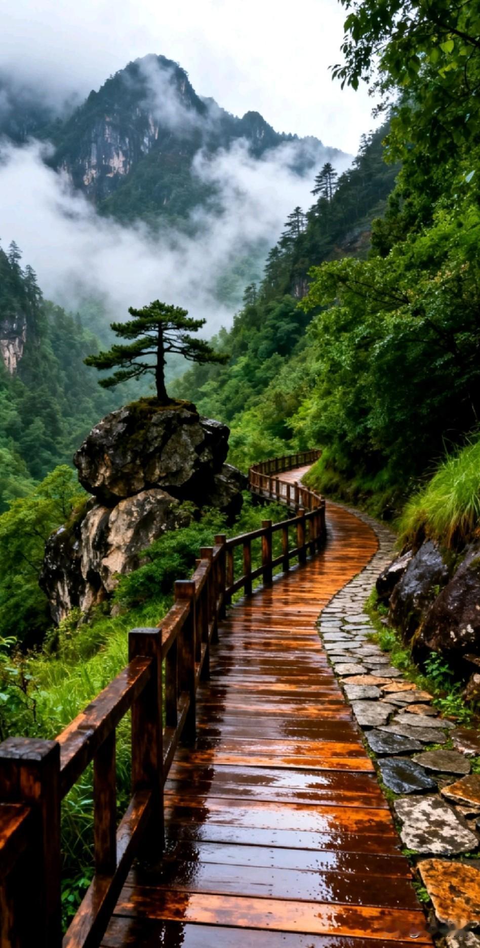 《选题定乾坤，解题安社稷；选题如种树，解题似培根；选题是立心，解题乃践行》

大