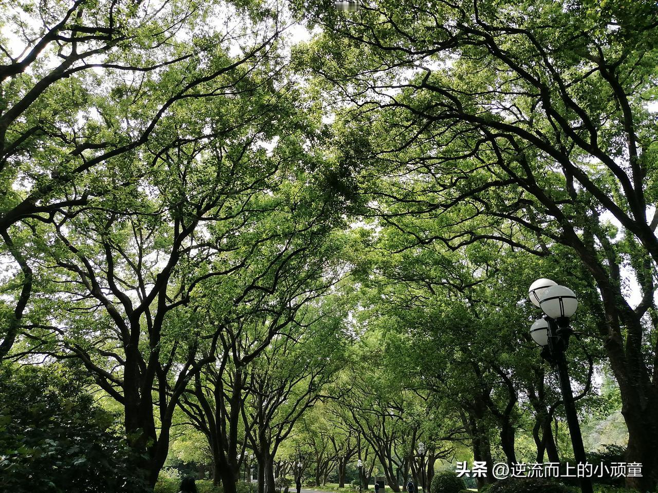 身处困顿窘迫之人，也常会慨叹时运不济、命运不公，总觉得富贵皆是天生注定，暗自幻想