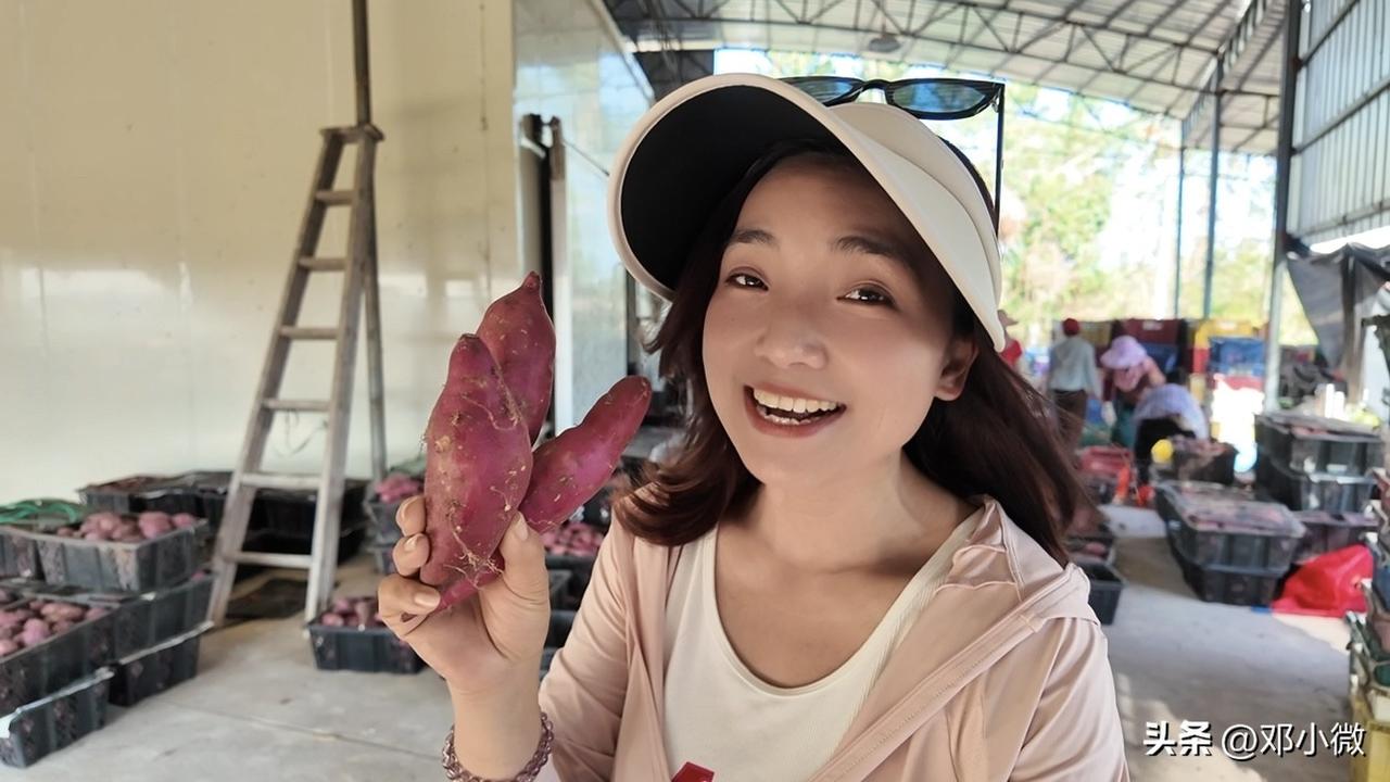 邓小微一人一车从四川到海南，人到中年，在海南的热土上，找到了生活的另一种甜。这里