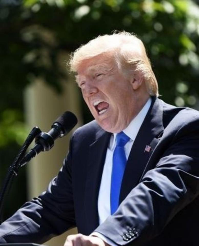 特朗普说了实话，二战胜利跟法国没什么关系，法国是最先投降的，我是真搞不懂，一个在