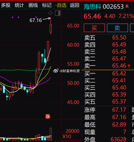 海思科短线加速冲高，盘中触及 67.16 元后回落，股价大幅偏离短期均线，获利盘