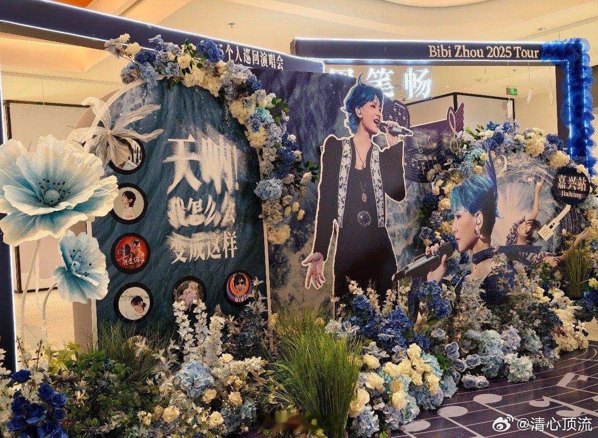 嘉兴是一个巨大的周笔畅痛城   今天在嘉兴能够看到周笔畅的演唱会，真的是太有惊喜
