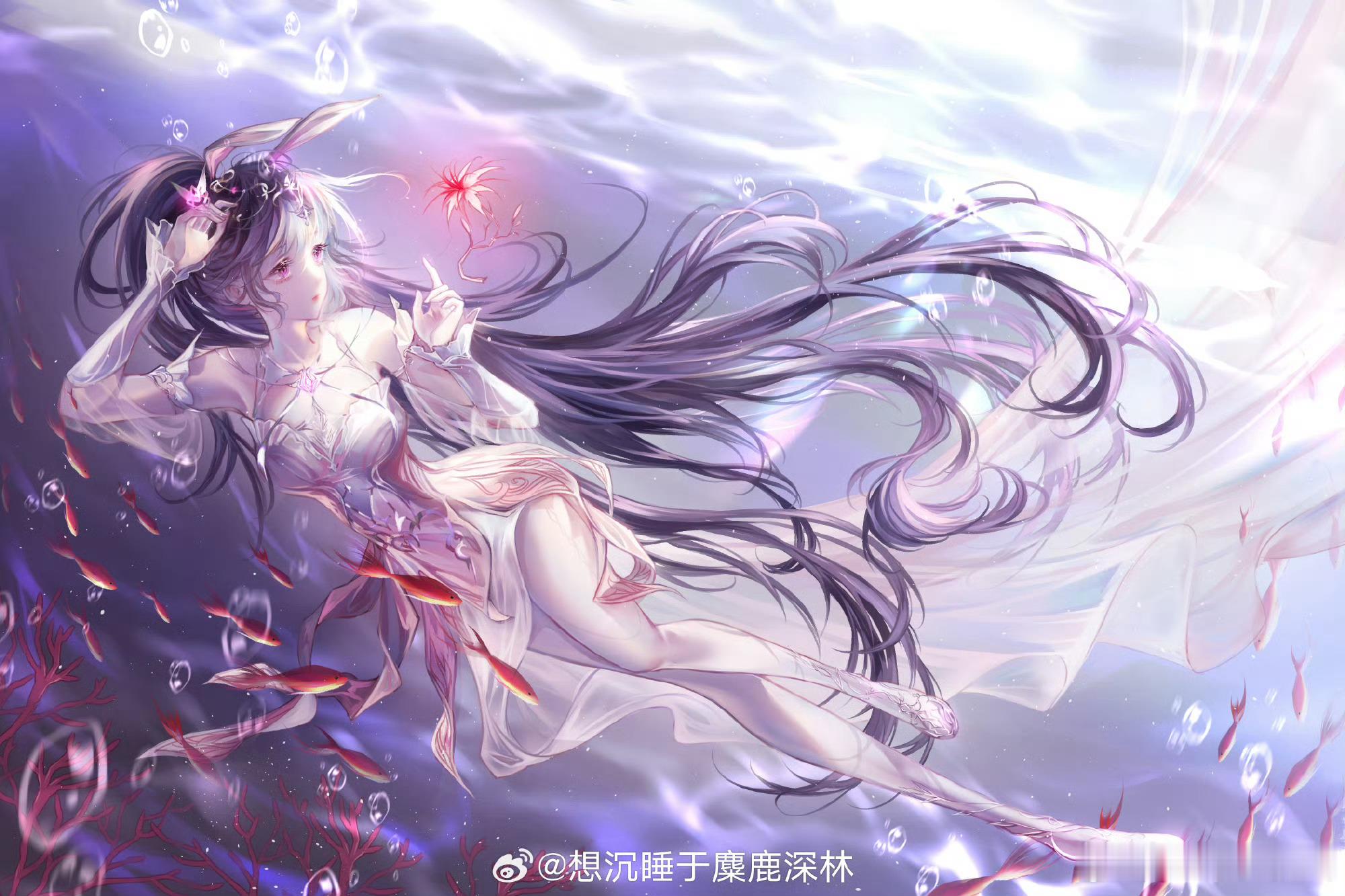 小舞[超话] 🎐小舞 🎐小舞0825生日快乐 赤足奔赴 远瞰万物  行风走水