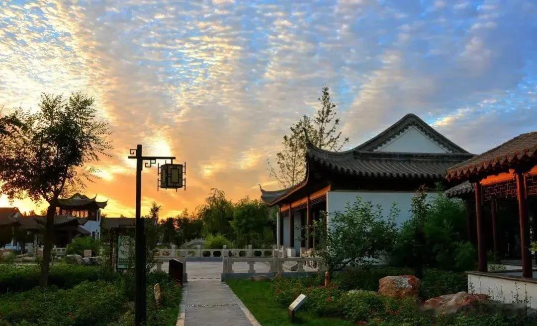 这个地方的名字叫做兴华公园，位于北京的大兴区附近。说到在北京哪里能看到薰衣草花田