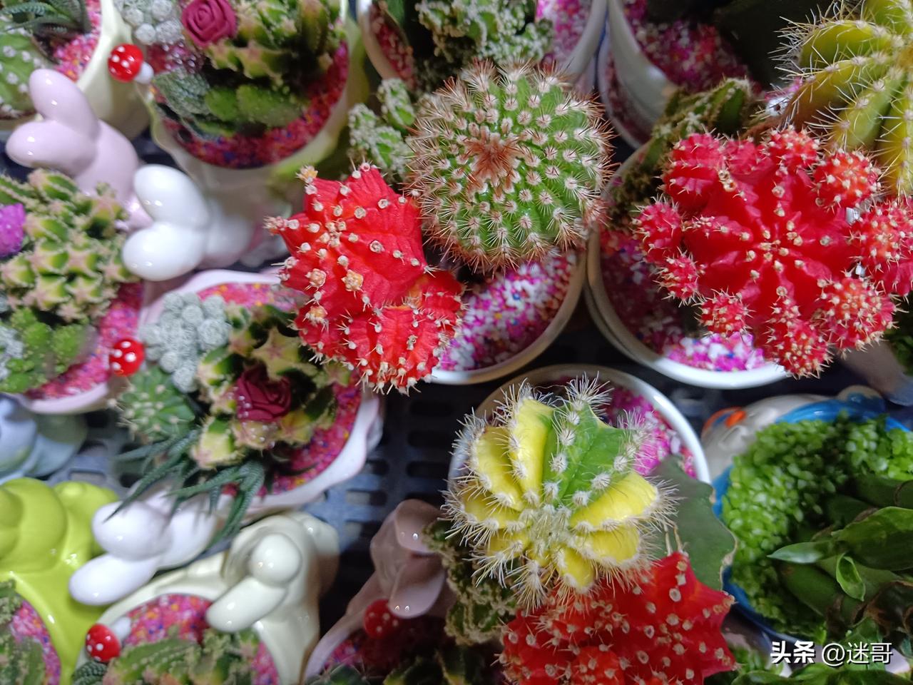 《冬去春来》
没有狗血剧情，全是普通人的烟火与挣扎。

演员演技细腻真实，把生活