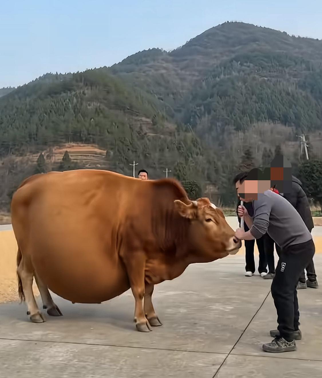 爱吹牛的人有这几个特点。第一，不承认对手的优秀，经常拉踩和贬低。第二，把自己塑造