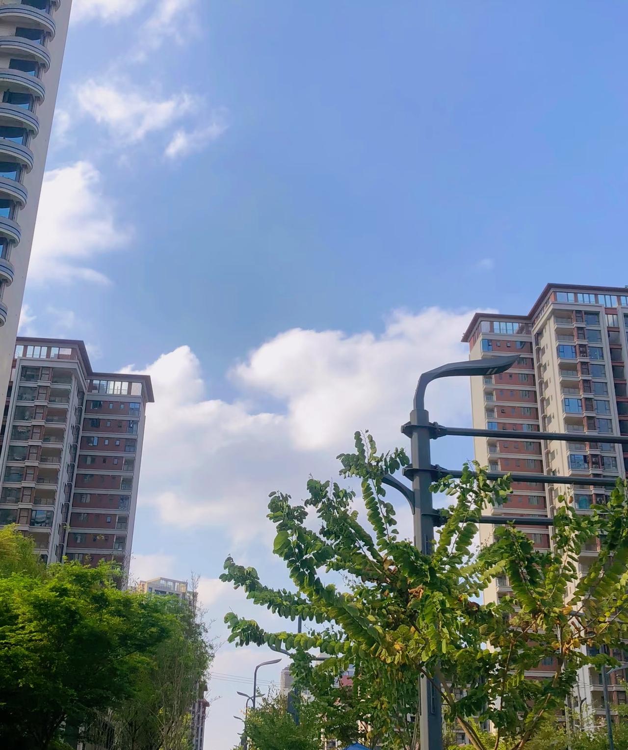 接纳自我活在当下。
一段有智慧的话。复旦大学教授陈果：“别天天焦虑这个、焦虑那个