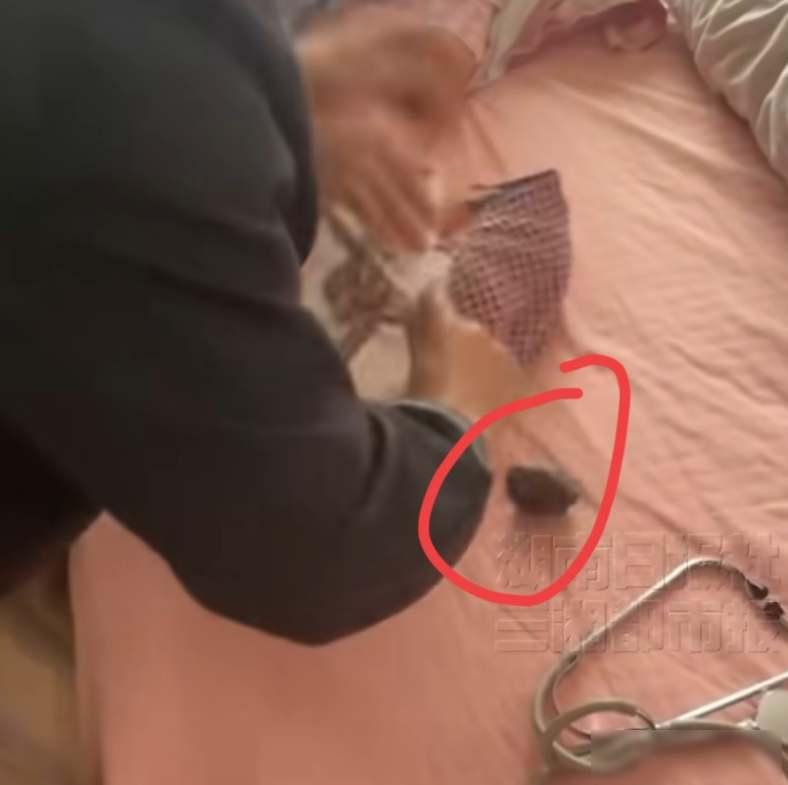 她才刚出生4天啊！4月12日下午2点37分，南京一位刚出生4天的女婴，在自家的床