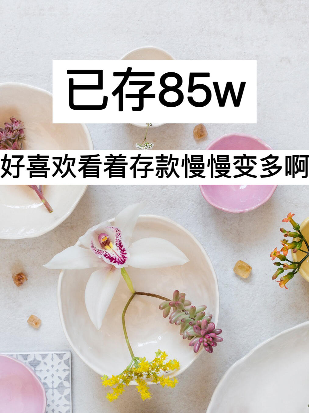 7月复盘｜已存85w，好喜欢看着存款慢慢变多啊