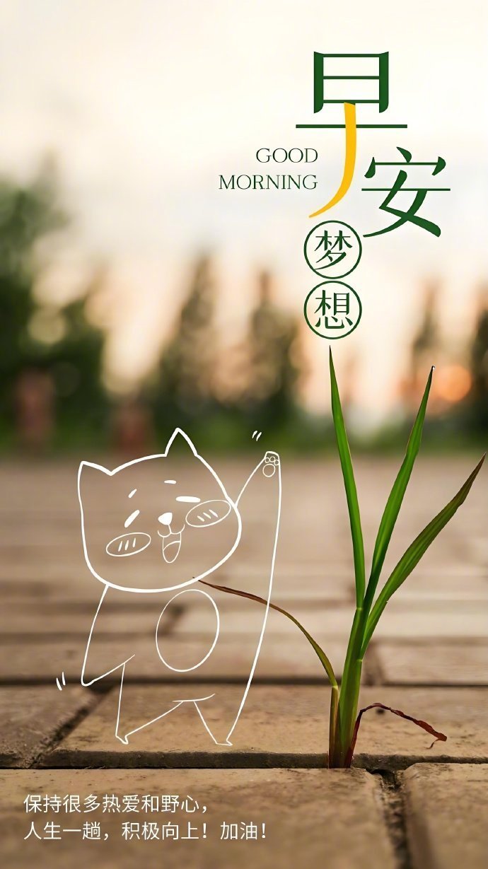 努力把日子都填满，别让孤单把你包围，请善待珍惜自己，给自己一个坚强的理由，生活中