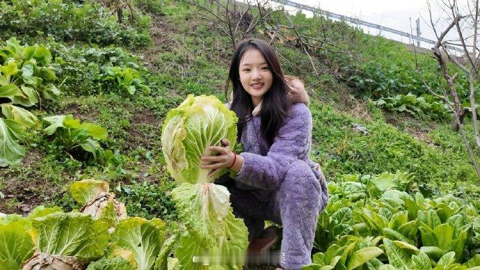 任敏回老家不仅穿省服还摘白菜了 明星返乡画风突变！任敏穿着湖南省服现身白菜地，亲