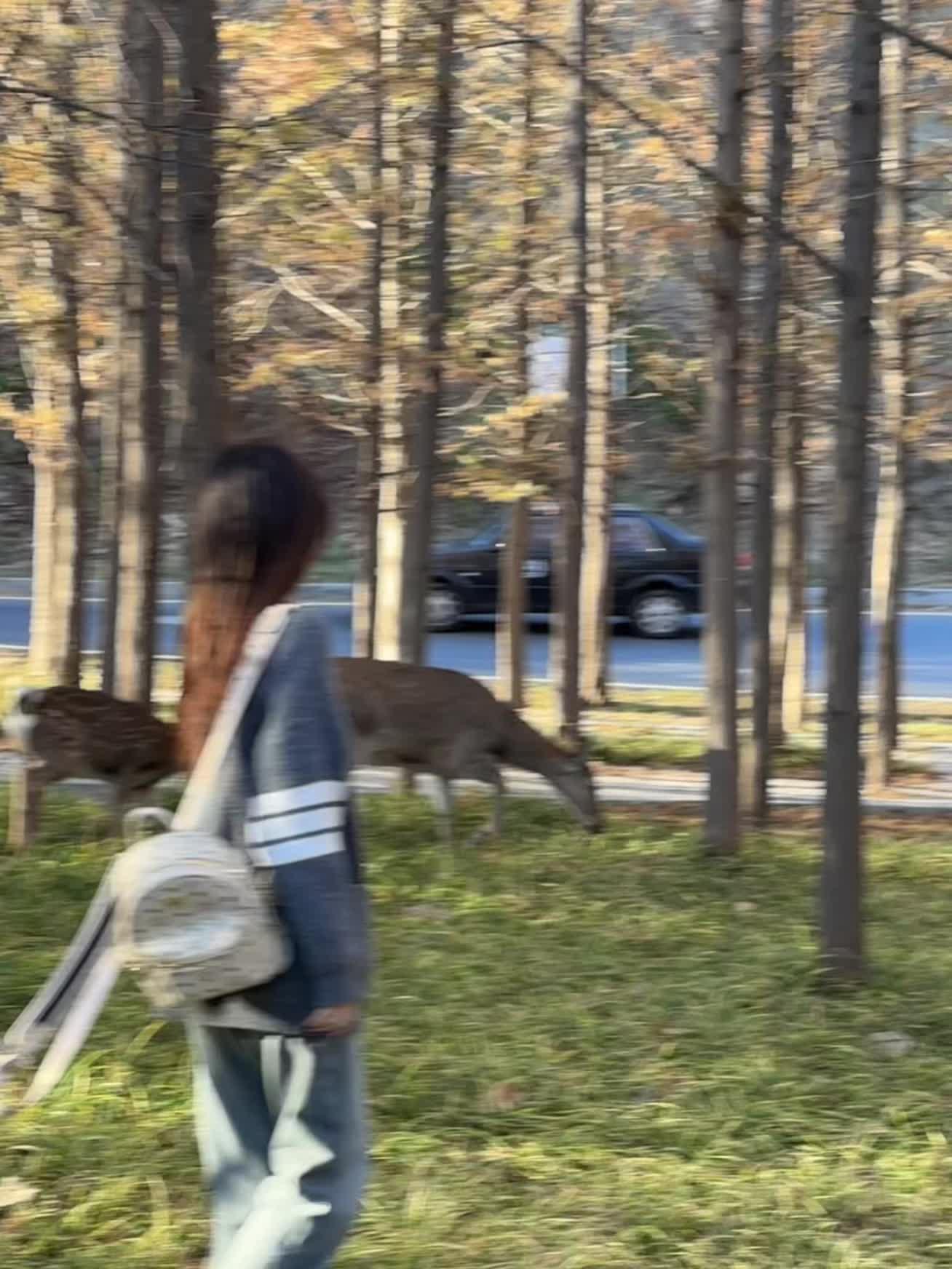 妈妈问我为什么不愿意回到家乡过小城市慢节奏的生活，其实不是因为我不想家...