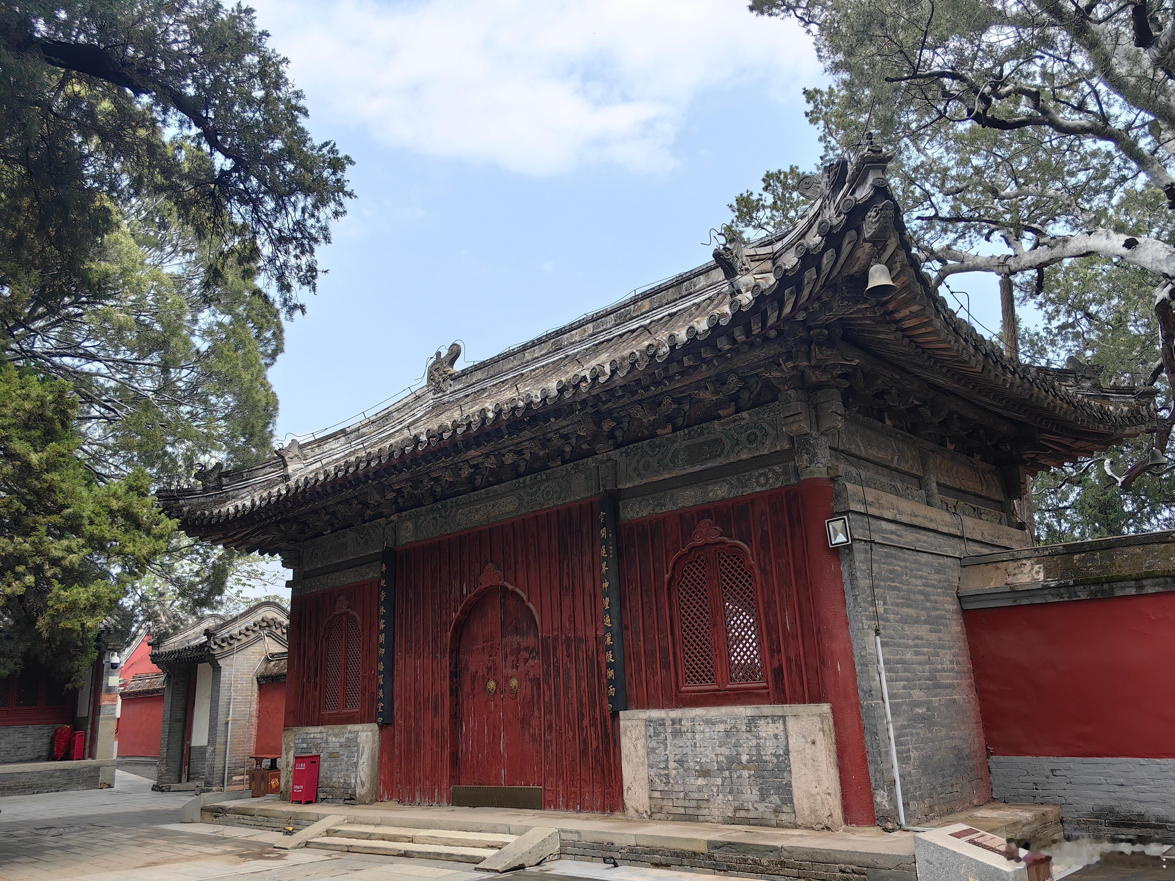 今日谷雨雨润五谷，万物勃发————戒台寺摄影北京春日繁花似锦北京你好