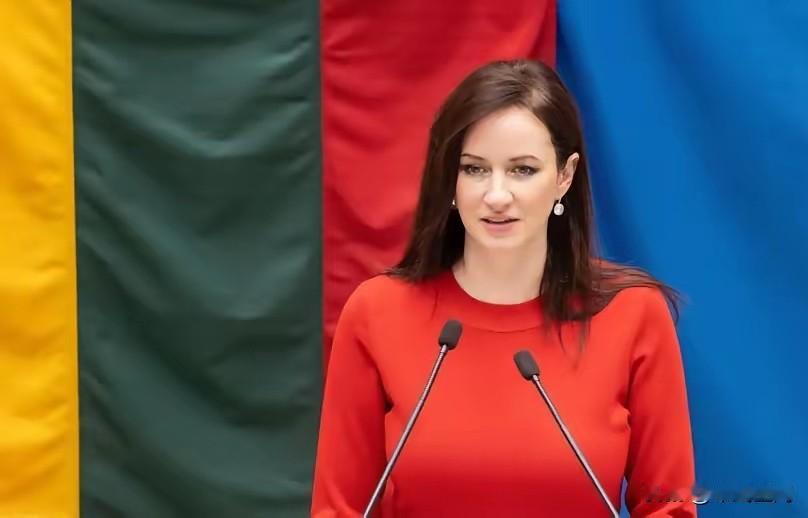 立陶宛：我们能改！
2月11日，立陶宛新总理表示：“只要中方提要求，我们绝对能改