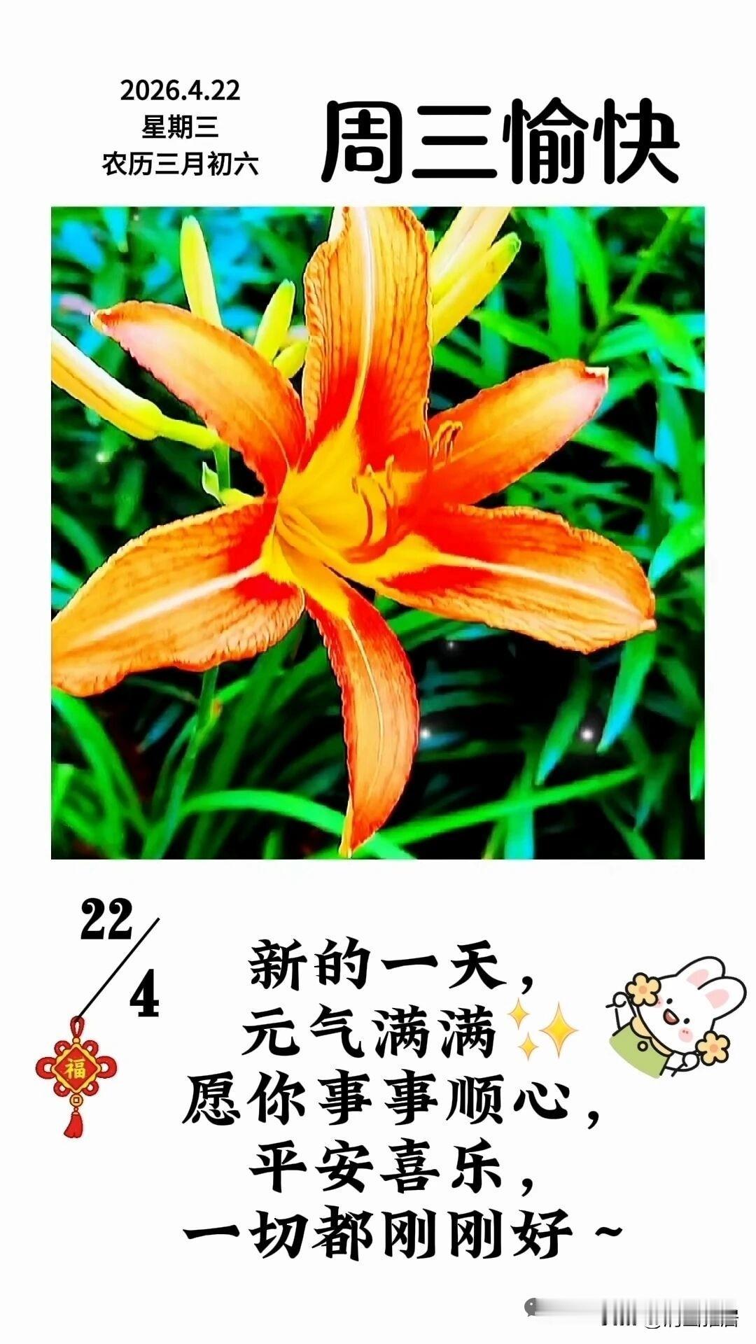 又开始了新一轮的活动，这个活动力度挺大的，还有自由发挥自己才能的空间，朋友们快来