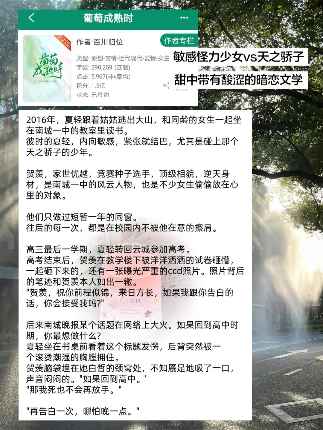 “没成熟的葡萄🍇，太酸了”