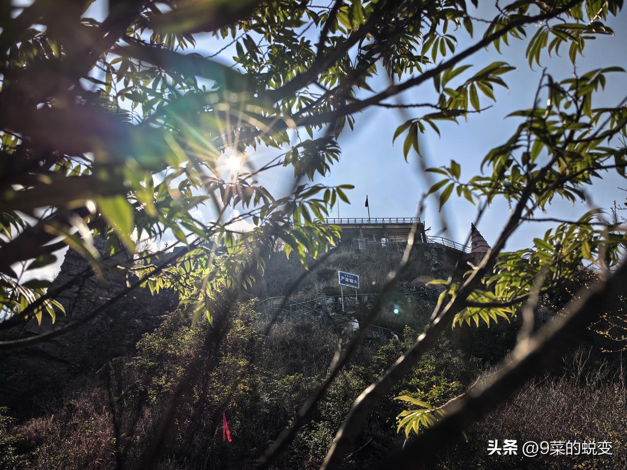 天南地北大拜年