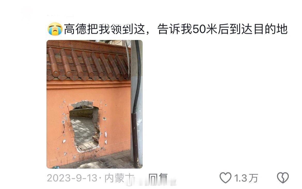 高德：高效但缺德哈哈哈哈哈别人能走你怎么不能走 ​​​