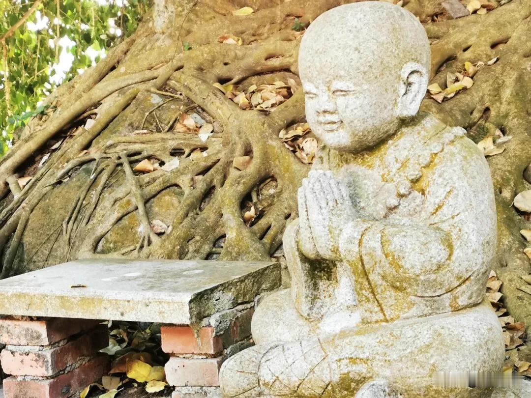 晚上能按时的自然睡去
清晨在鸟语声中自然醒来
这是最平常而又不平常的福报