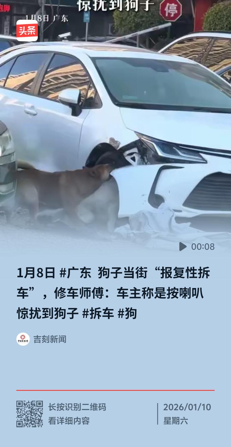 广东广州有个离谱事儿。一车主开车看到前面两条狗，就鸣了两下笛。谁能想到，这俩狗居