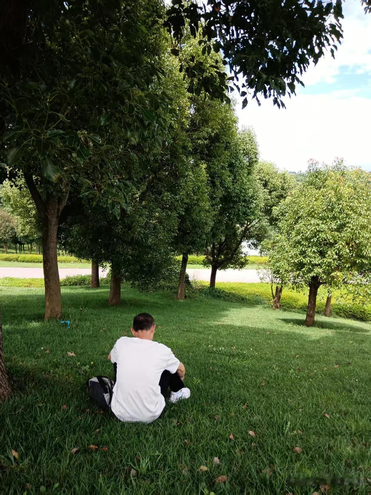 晒图笔记大赛夏日的炙热教会我们珍惜每一片绿荫、每一缕晚风，和每一次相聚的时光。