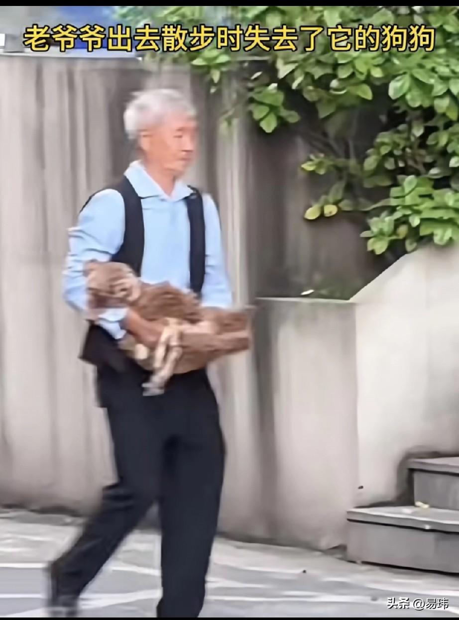 太可怜了！一位老人在老伴离世后，收养了一只流浪狗，一直来就把它当做自己的孩子来养