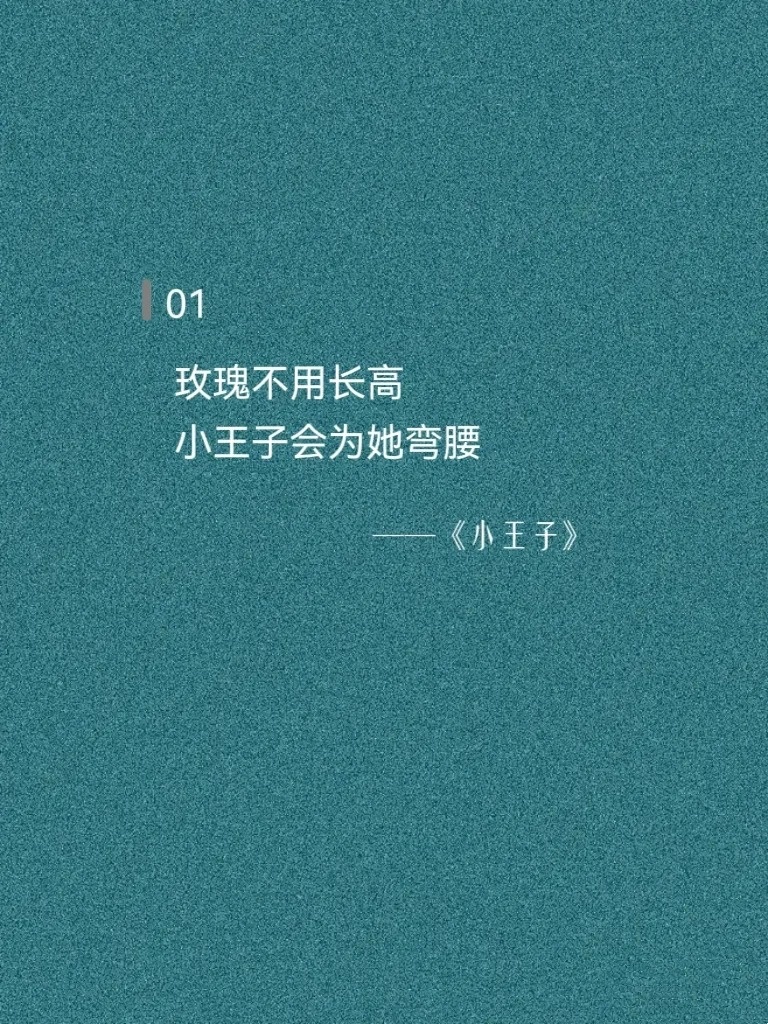 藏在《小王子》里的“偏爱”，浪漫又治愈 