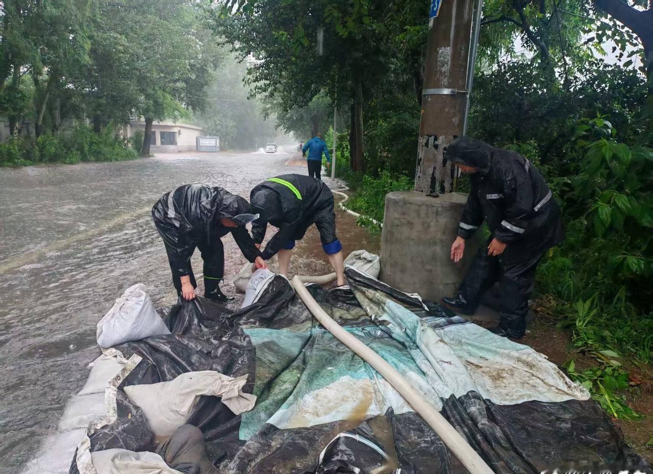 风雨里马官桥街道志愿者并肩堆砌沙袋、抽水排涝，用同心坚守筑起一道暖心防线，这就是