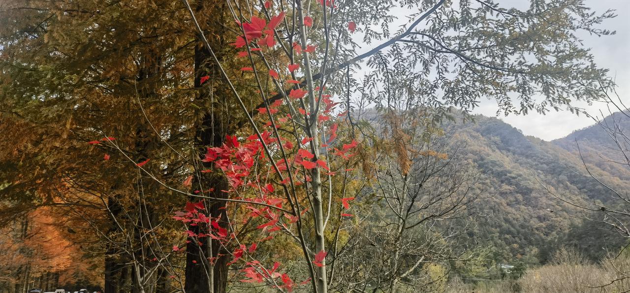 分享一张你最近随拍的照片汉中.留坝.