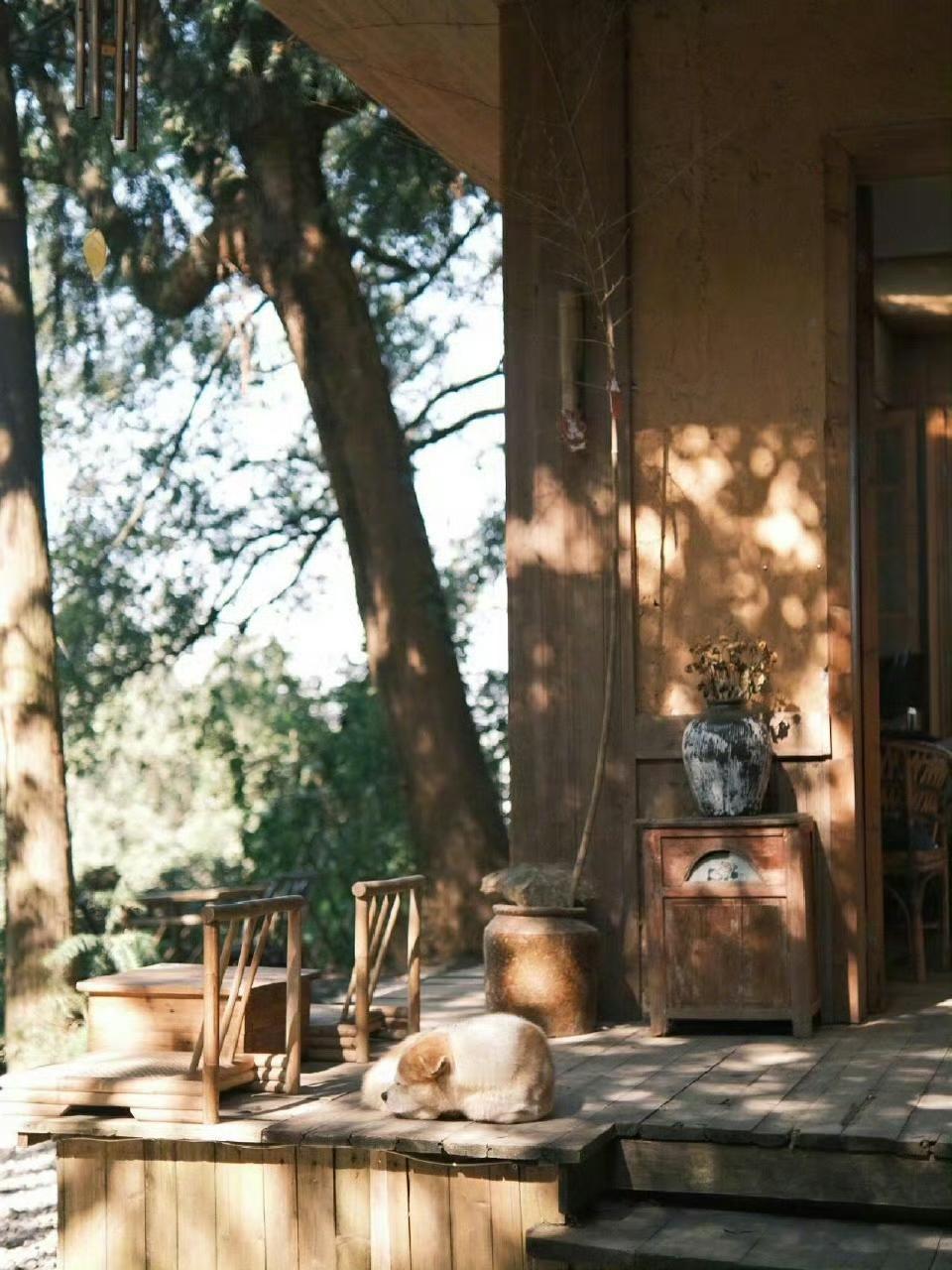 晒图笔记大赛“发呆是最短的旅途。”