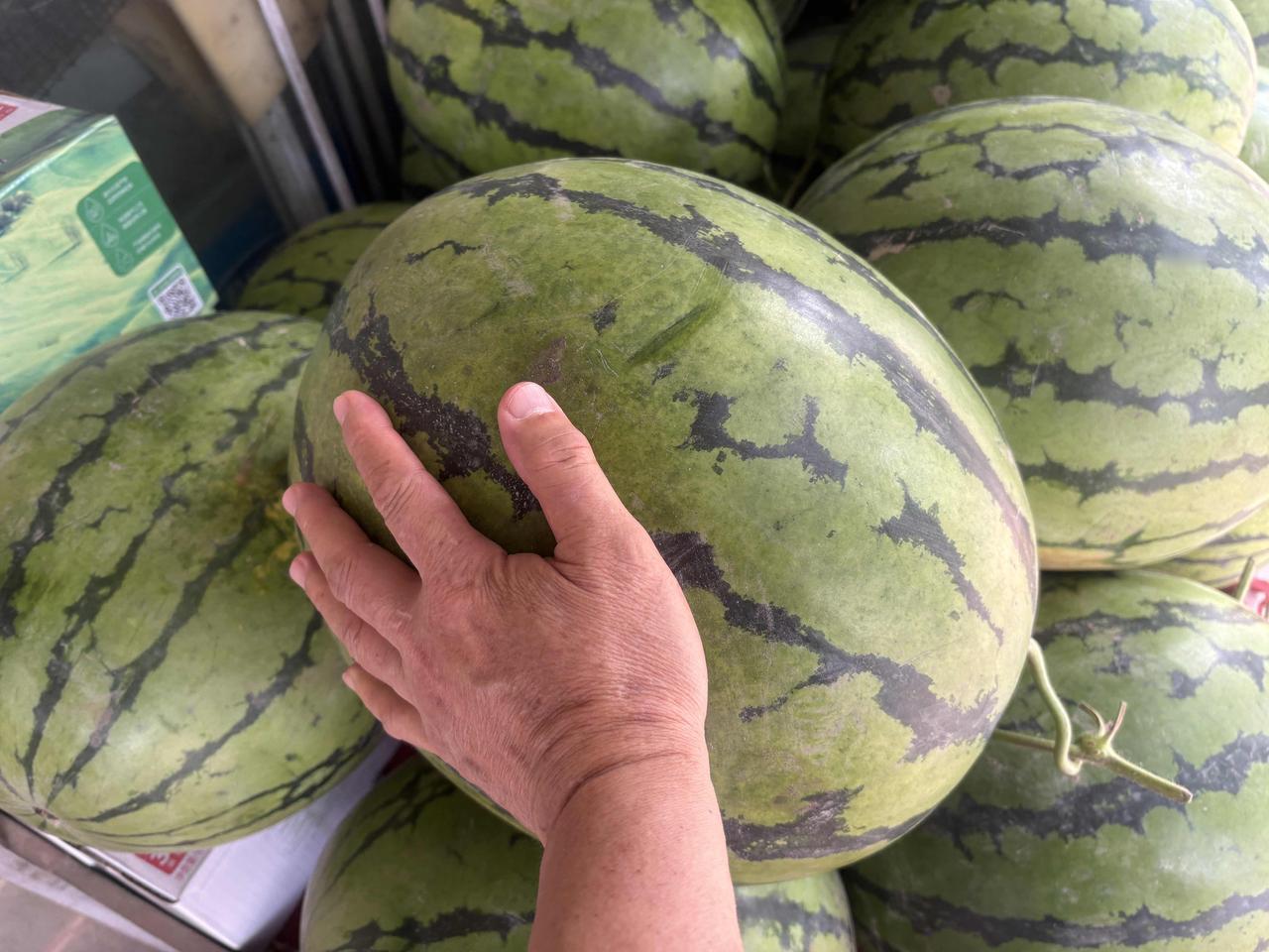 有个人，在群里提醒大家，不要崇拜任何人，尤其政治家，不要看不起任何人，尤其是普通