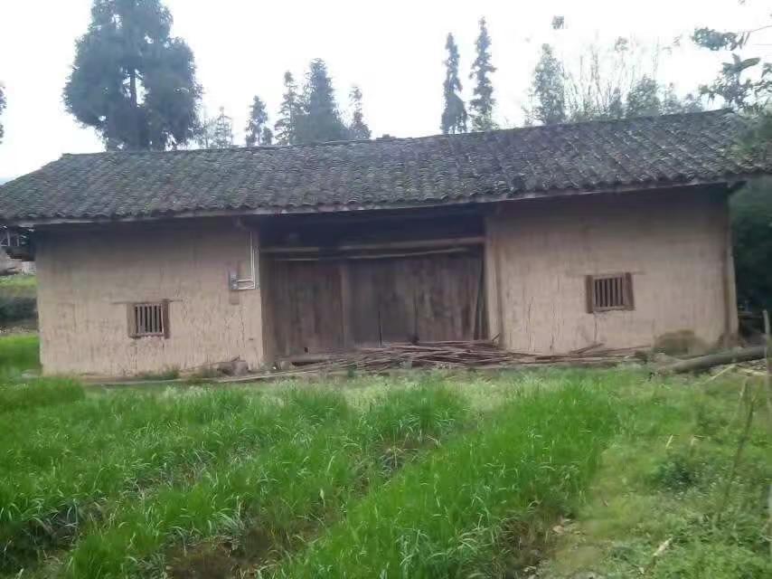 回不去的曾经