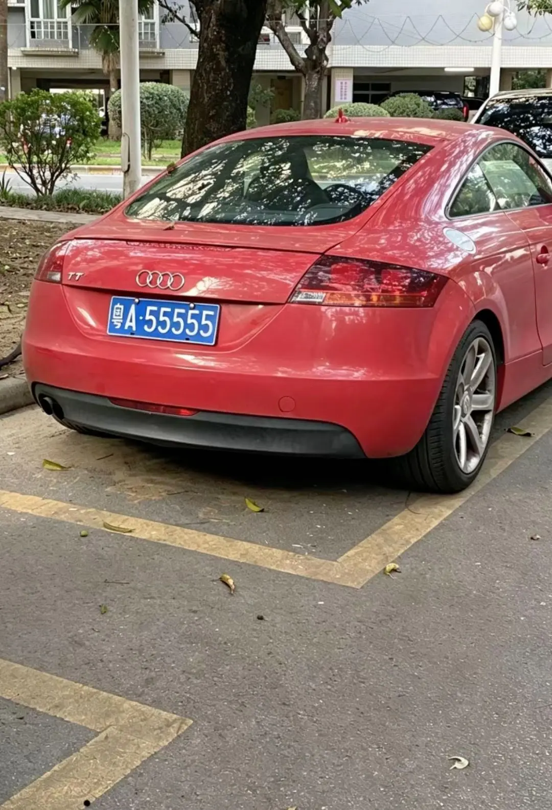 广州粤A55555 在奥迪