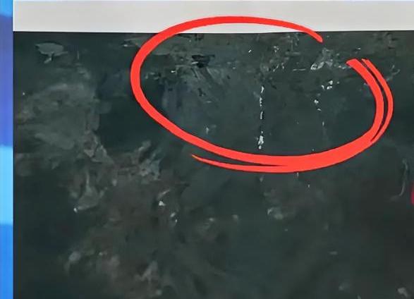 博物馆库房进老鼠了？完整战国青铜剑放在绍兴博物馆库房十年，拿出来结果成了拼接版的