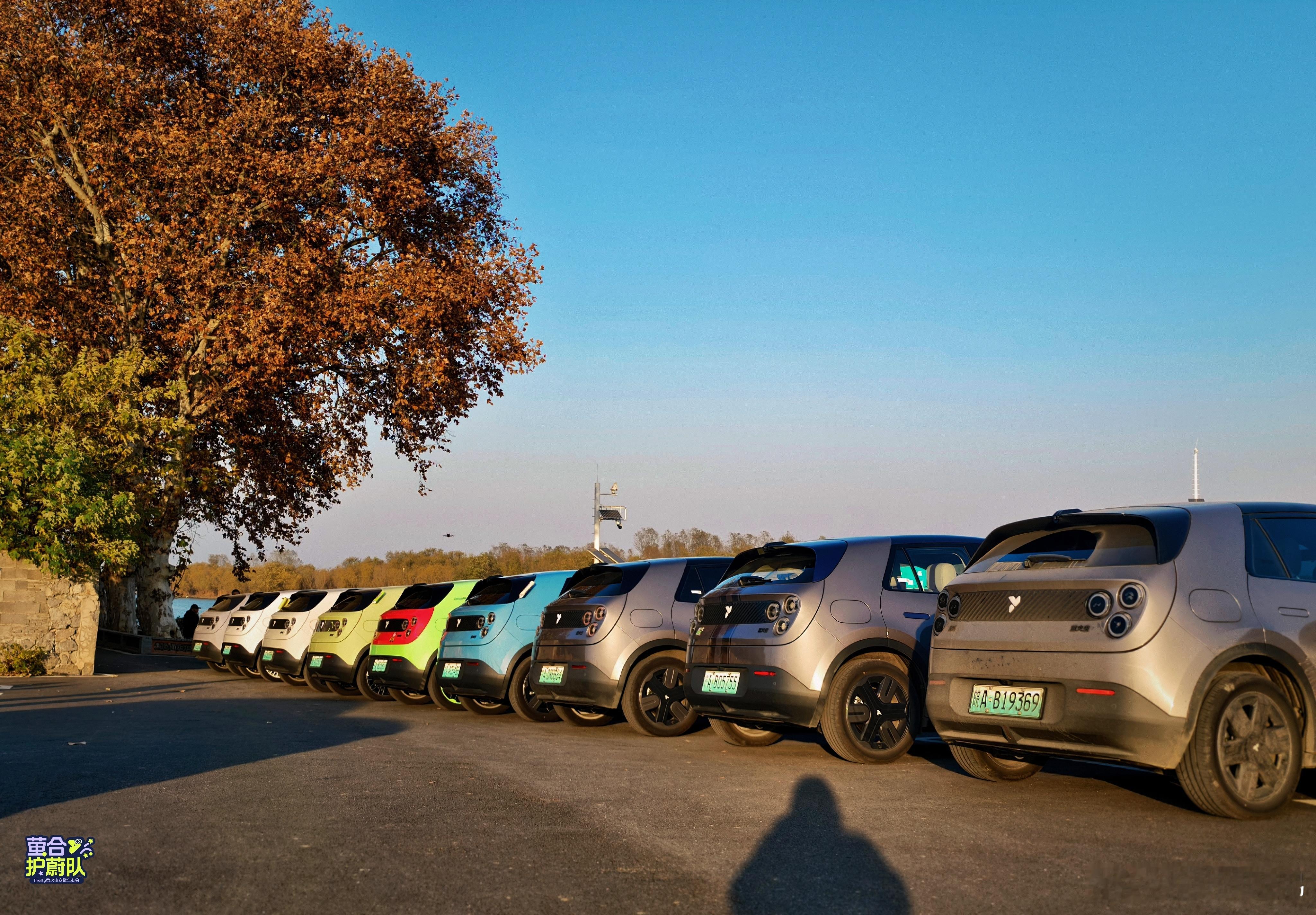 萤合护蔚队太可爱了吧！