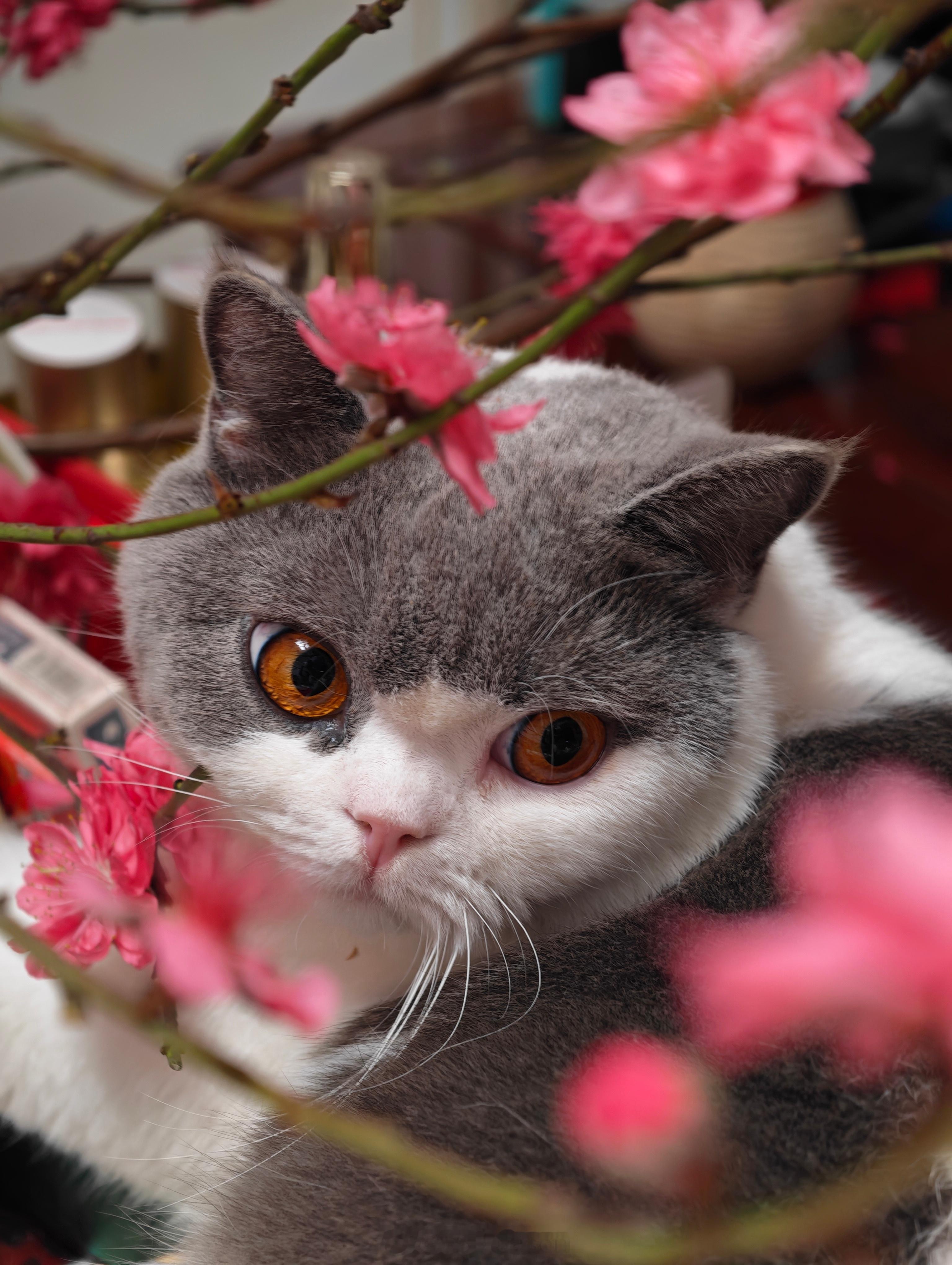 又是看完春晚 的一年，过年好 。 