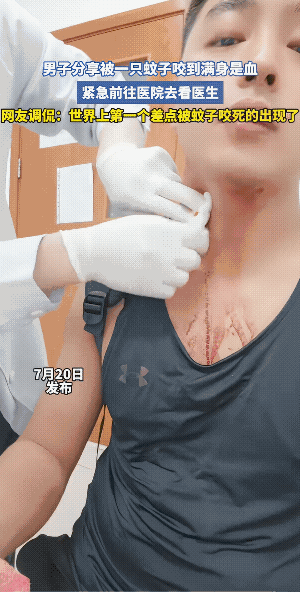 蚊子:哥今天干了一个票大的，好似挖到石油管道了。
它本来只是偷一顿饭，结果干到大