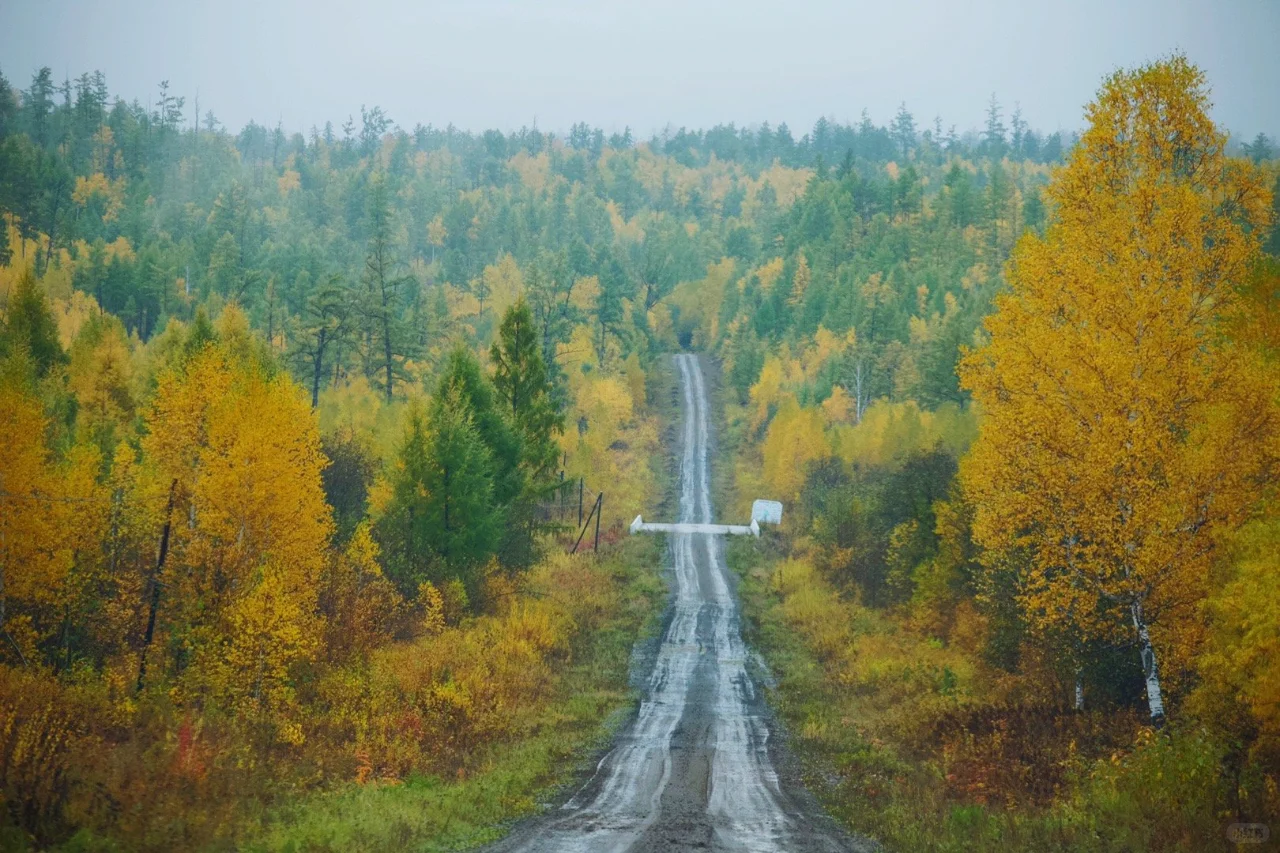在这里的道路行进，可以一望到天际